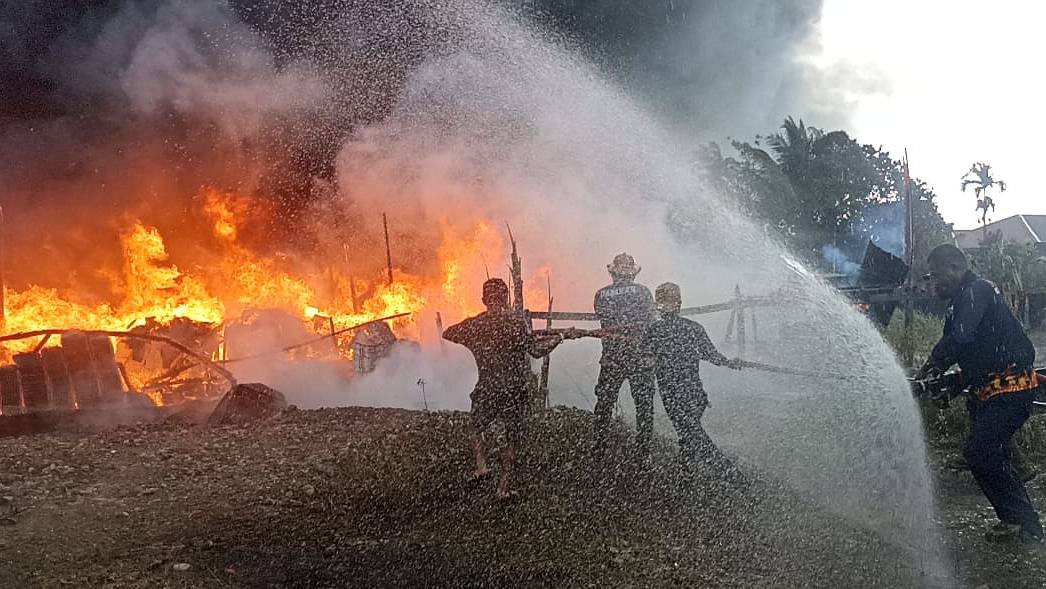 Kebakaran hebat di kandang ternak Jalan Sadan Swakarsa Gang Terate SP1 Kamoro Jaya. Foto: Eka/ Papua60detik