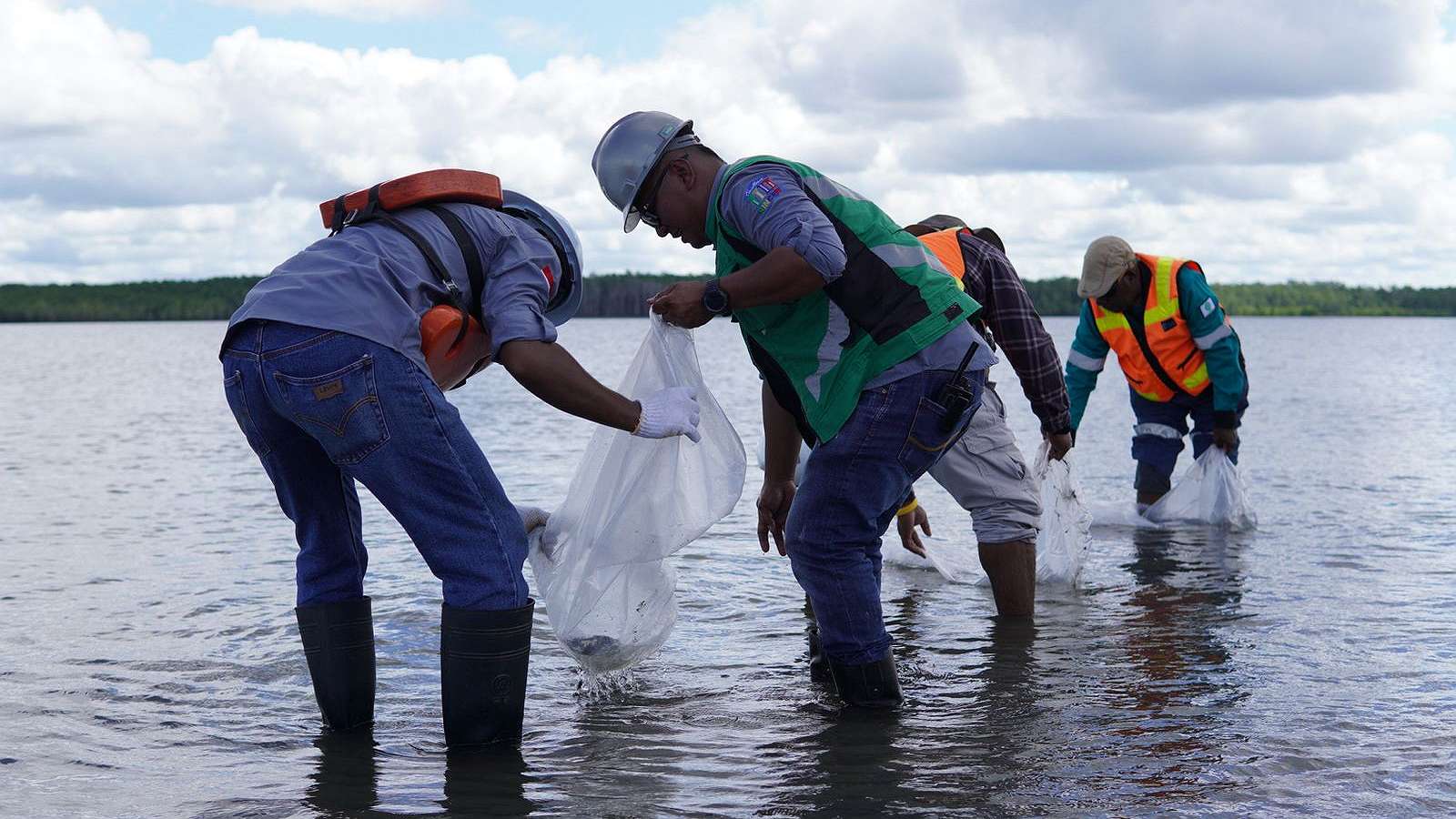 Pelepasan anakan ikan baramundi dan kepiting bakau di perairan Ajkwa, Kabupaten Mimika, Papua Tengah. Foto: Joe Situmorang/Papua60Detik