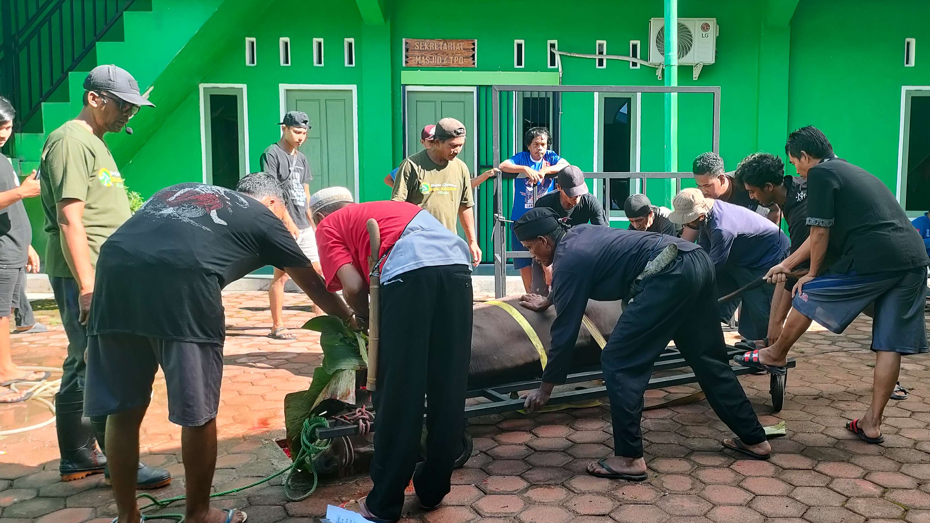Penyembelihan hewan kurban di Masjid Jami' Al Ikhlas SP2, Sabtu (7/6/2025). Foto: Burhan/ Papua60detik