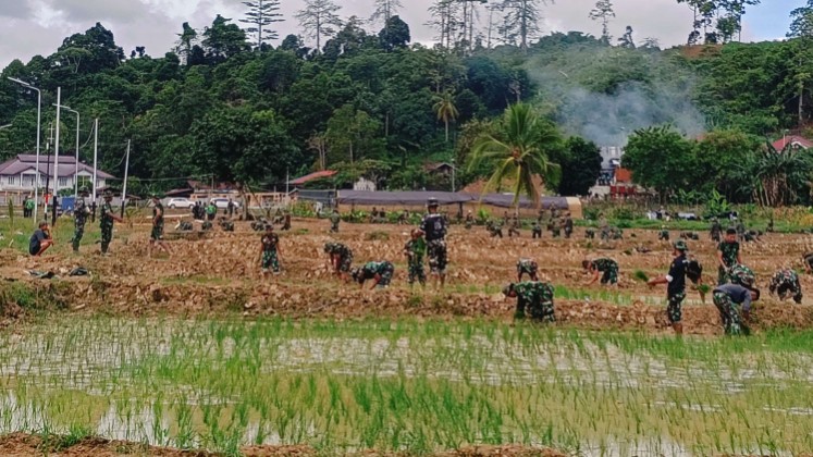 Korem 173/PVB gelar penanaman padi di Jalan Kusuma Bangsa, Malompo Atas, Nabarua, Distrik Nabire, Kabupaten Nabire, Provinsi Papua Tengah Sabtu (14/6/2025). Foto: Elias Douw/ Papua60detik