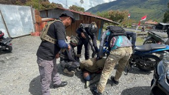 Satuan Tugas Operasi Damai Cartenz menangkap anggota Kelompok Kriminal Bersenjata (KKB) atas nama Kinara Enumbi di Kabupaten Puncak Jaya, Papua Tengah pada Jum'at (15/8/2025). Foto: Satgas Humas ODC-2025