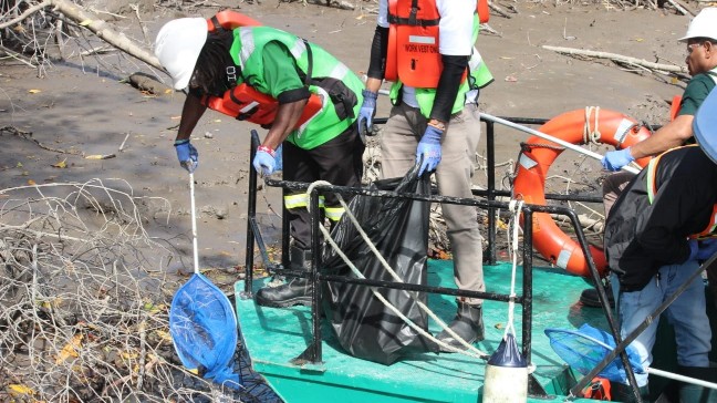 Aksi bersih sampah karyawan PT Freeport Indonesia di pesisir Mimika pada Coastal Clean UP, Sabtu (10/6/2023). Foto: Faris/ Papua60detik