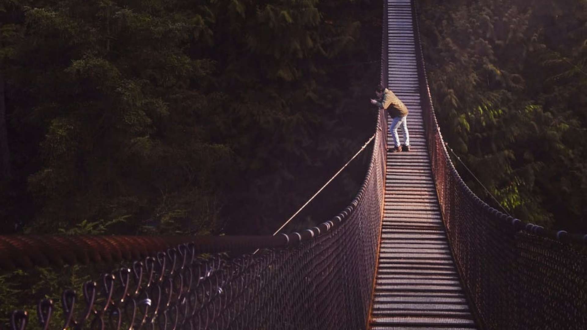 Ilustrasi jembatan gantung. Foto: pexels.com