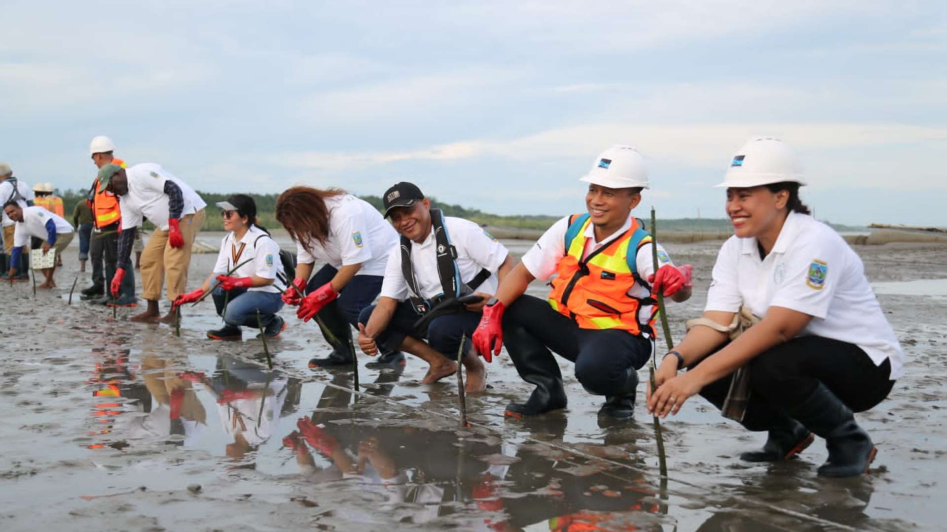 PT Freeport lakukan penanaman bambu di muara. Foto: Corcom PTFI