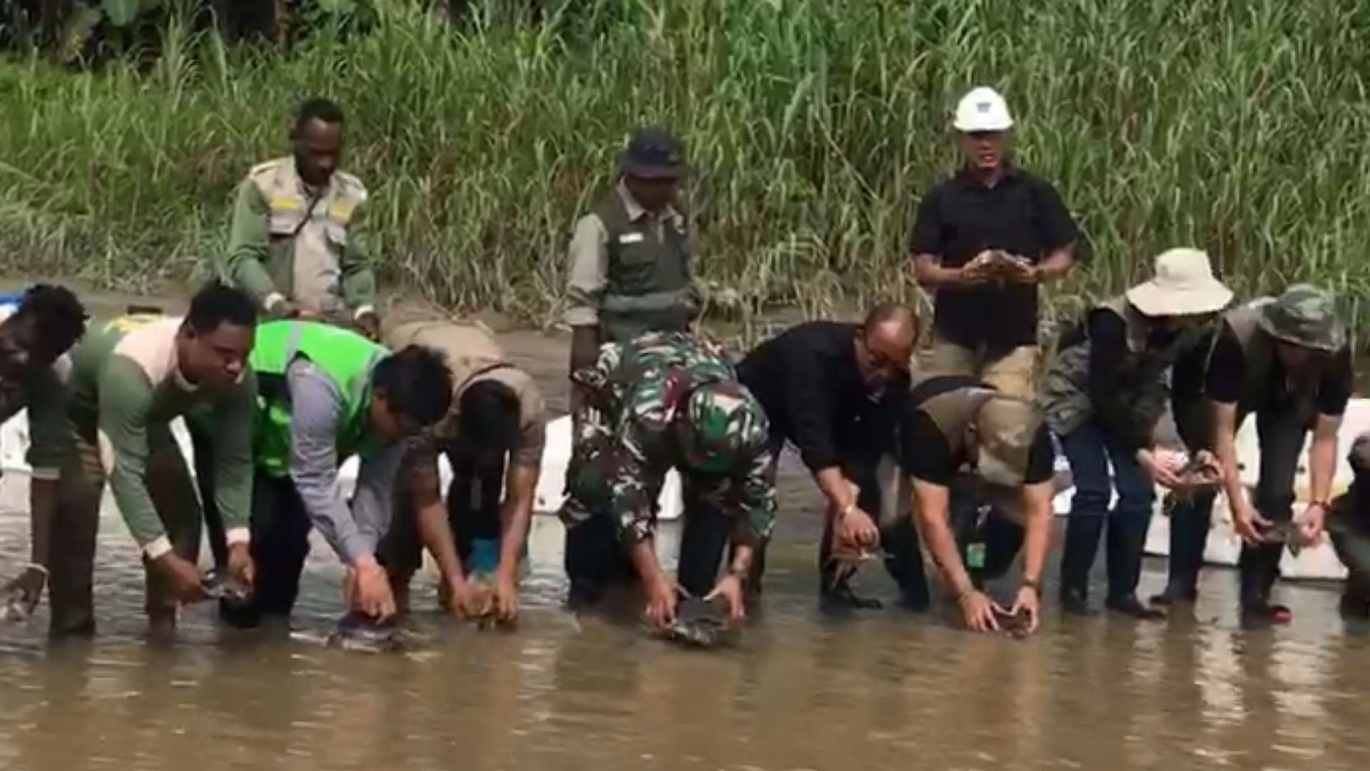 Pelepasliaran labi-labi di Nayaro, Selasa (28/11/2023). Foto: Faris/ Papua60detik