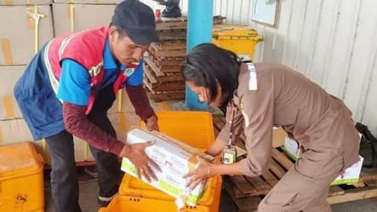 Box benih sayuran yang ditolak karantina. Foto: KP Timika